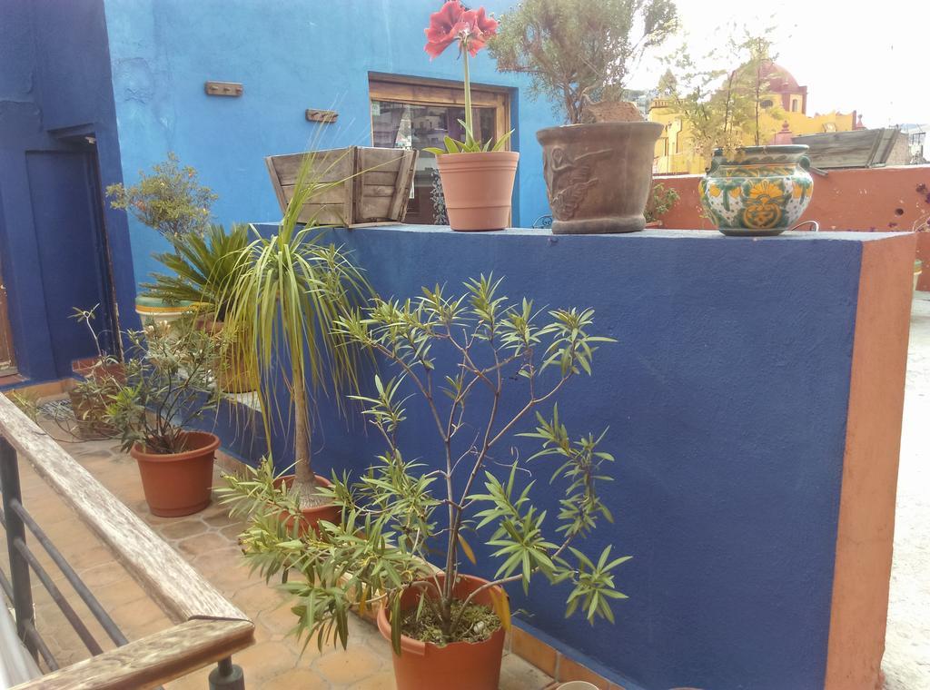 La Fuente Guanajuato Bed & Breakfast Dış mekan fotoğraf